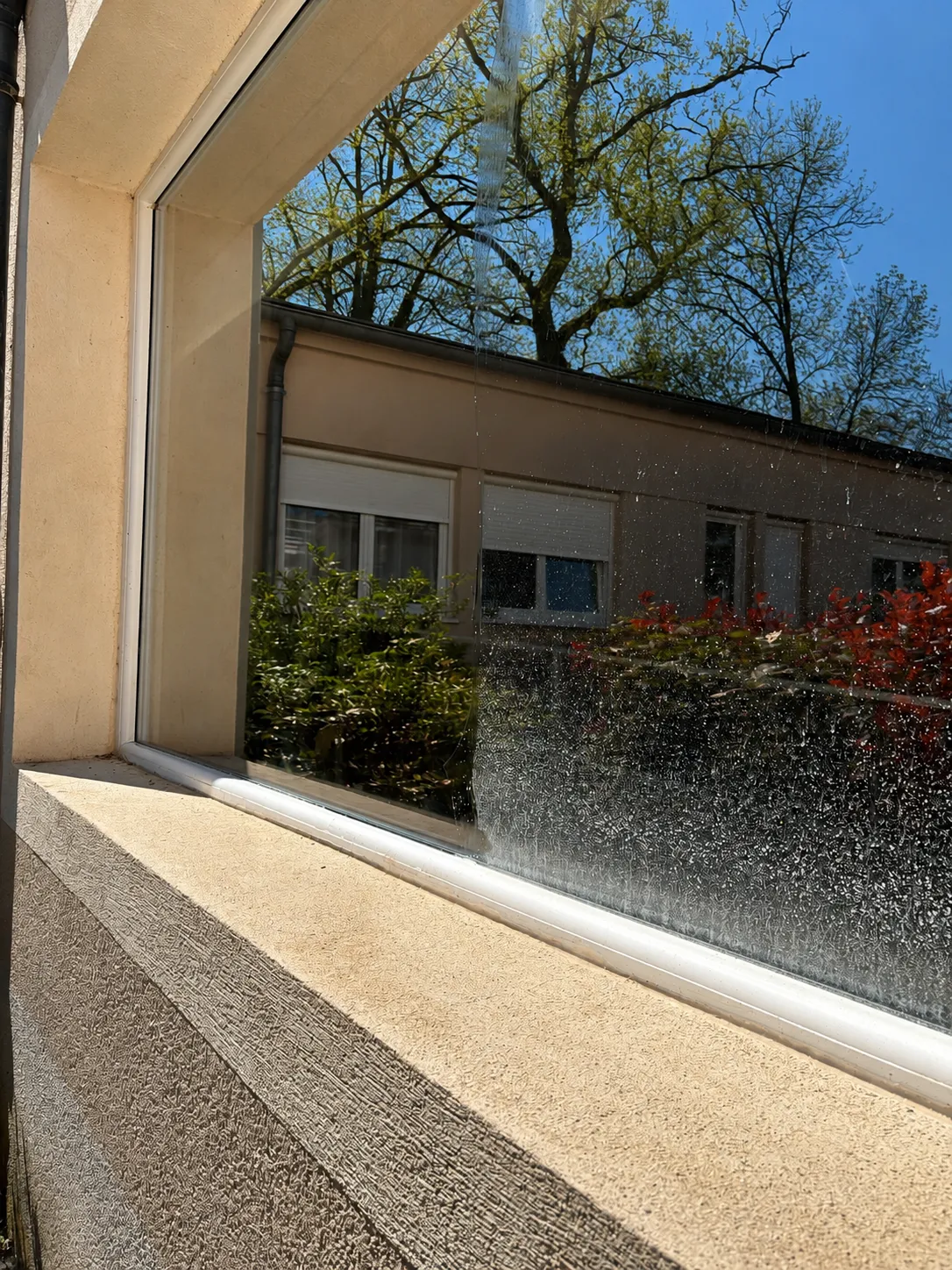 Analyse du site Bridge — Balier Services
