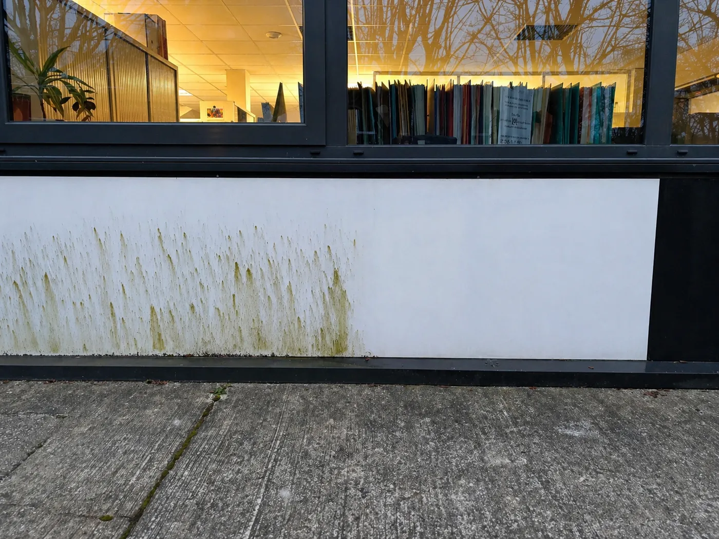 Échantillonnage préalable sur supports — idverde, Balier Services